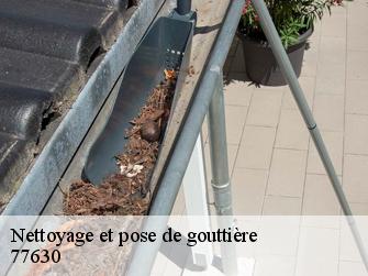 Nettoyage et pose de gouttière  77630