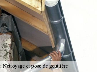 Nettoyage et pose de gouttière