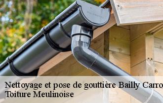 Nettoyage et pose de gouttière  bailly-carrois-77720 Toiture Meulinoise