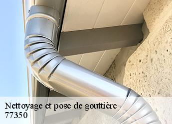 Nettoyage et pose de gouttière 77350