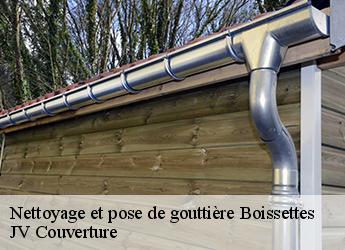 Nettoyage et pose de gouttière 77350