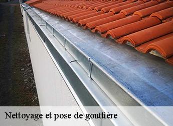 Nettoyage et pose de gouttière 77350