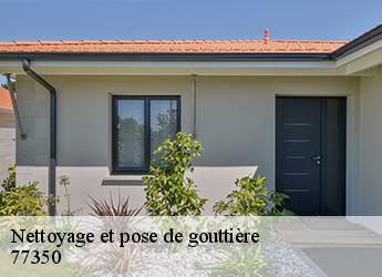 Nettoyage et pose de gouttière 77350