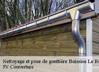 Nettoyage et pose de gouttière 77310