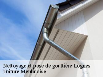 Nettoyage et pose de gouttière  77185