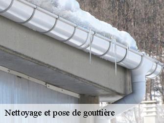 Nettoyage et pose de gouttière