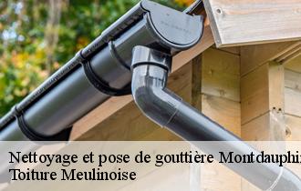 Nettoyage et pose de gouttière  montdauphin-77320 Toiture Meulinoise