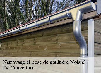 Nettoyage et pose de gouttière 77186