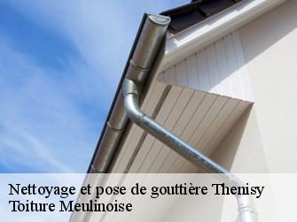 Nettoyage et pose de gouttière  77520