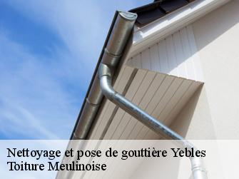 Nettoyage et pose de gouttière  77390