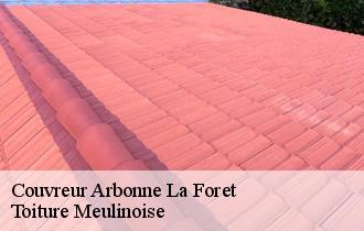 Couvreur  arbonne-la-foret-77630 Toiture Meulinoise