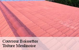 Couvreur  boissettes-77350 Toiture Meulinoise