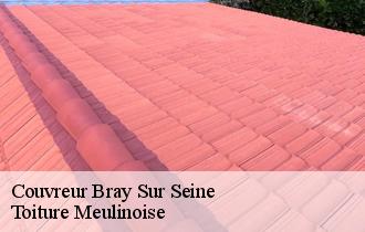 Couvreur  bray-sur-seine-77480 Toiture Meulinoise