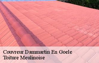 Couvreur  dammartin-en-goele-77230 Toiture Meulinoise