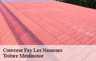 Couvreur  fay-les-nemours-77167 Toiture Meulinoise