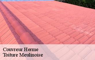 Couvreur  herme-77114 Toiture Meulinoise