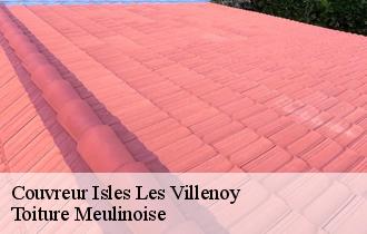 Couvreur  isles-les-villenoy-77450 Toiture Meulinoise