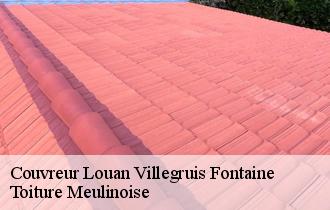 Couvreur  louan-villegruis-fontaine-77560 Toiture Meulinoise