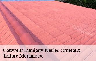 Couvreur  lumigny-nesles-ormeaux-77540 Toiture Meulinoise