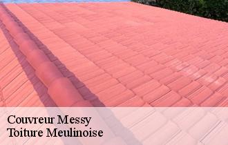 Couvreur  messy-77410 Toiture Meulinoise