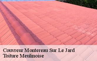 Couvreur  montereau-sur-le-jard-77950 Toiture Meulinoise