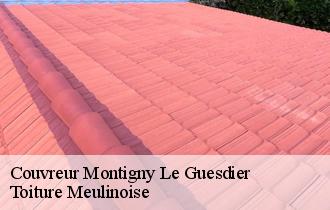 Couvreur  montigny-le-guesdier-77480 Toiture Meulinoise