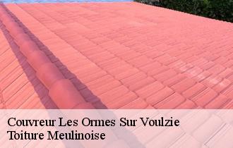 Couvreur  les-ormes-sur-voulzie-77134 Toiture Meulinoise