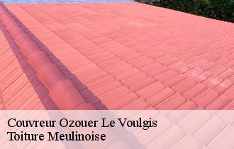 Couvreur  ozouer-le-voulgis-77390 Toiture Meulinoise