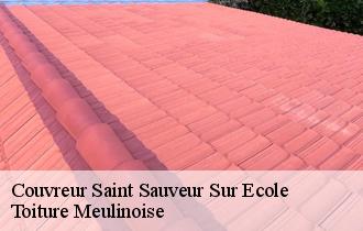 Couvreur  saint-sauveur-sur-ecole-77930 Toiture Meulinoise