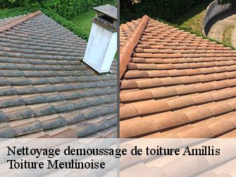 Nettoyage demoussage de toiture  77120