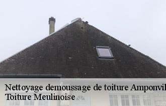 Nettoyage demoussage de toiture  amponville-77760 Toiture Meulinoise