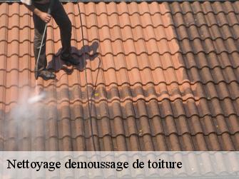 Nettoyage demoussage de toiture  77630