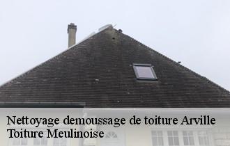 Nettoyage demoussage de toiture  arville-77890 Toiture Meulinoise