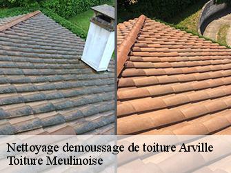 Nettoyage demoussage de toiture  77890