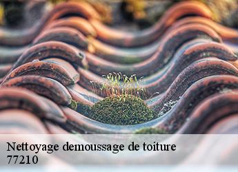 Nettoyage demoussage de toiture  77210