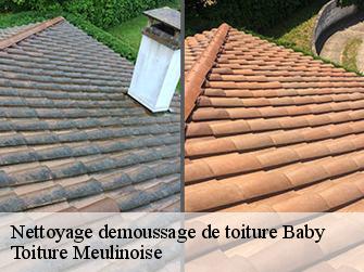 Nettoyage demoussage de toiture  77480