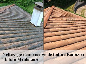 Nettoyage demoussage de toiture  77630