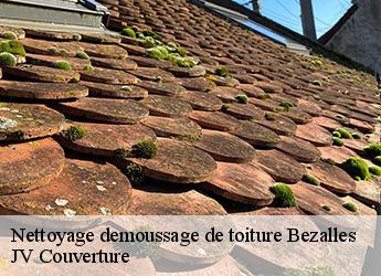 Nettoyage demoussage de toiture 77970