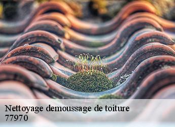 Nettoyage demoussage de toiture  77970