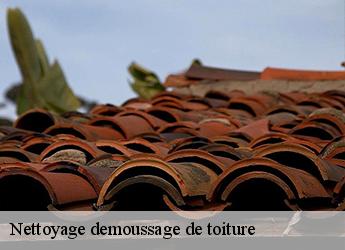 Nettoyage demoussage de toiture