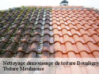 Nettoyage demoussage de toiture