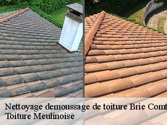 Nettoyage demoussage de toiture  77170