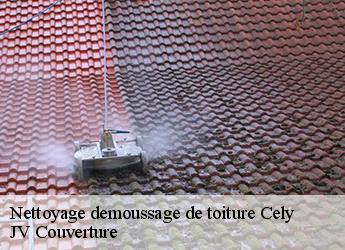 Nettoyage demoussage de toiture cely-77930 JV Couverture