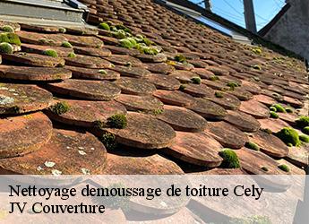 Nettoyage demoussage de toiture 77930