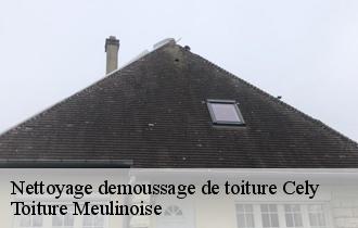 Nettoyage demoussage de toiture  cely-77930 Toiture Meulinoise