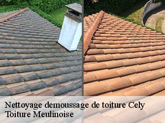 Nettoyage demoussage de toiture  77930