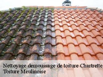 Nettoyage demoussage de toiture