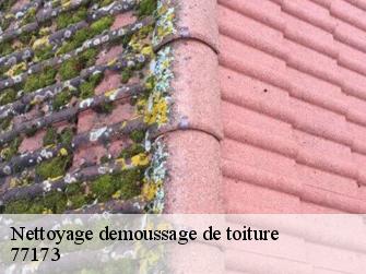 Nettoyage demoussage de toiture