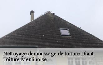 Nettoyage demoussage de toiture  diant-77940 Toiture Meulinoise