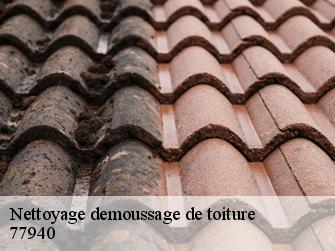 Nettoyage demoussage de toiture  77940